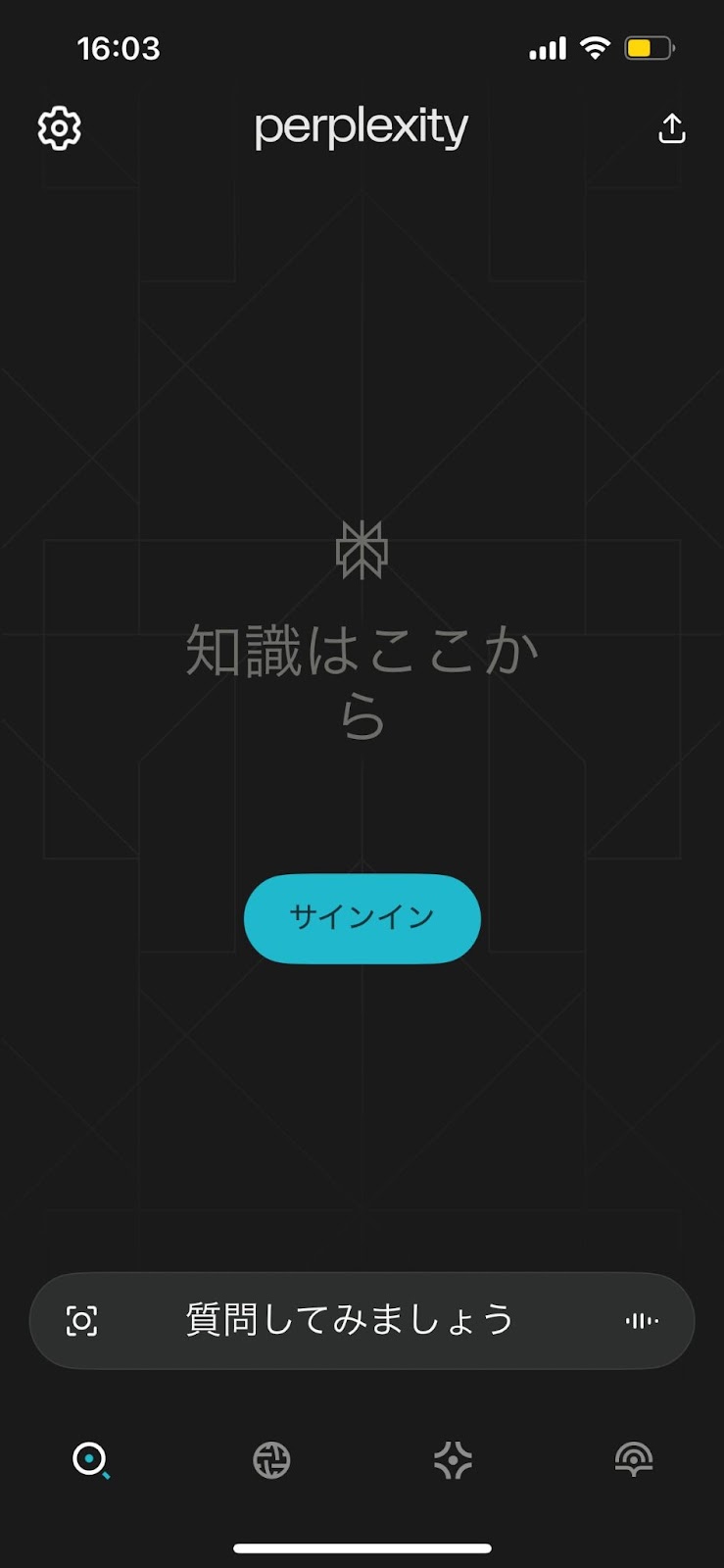 Perplexity AI