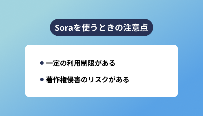 Soraを使うときの注意点