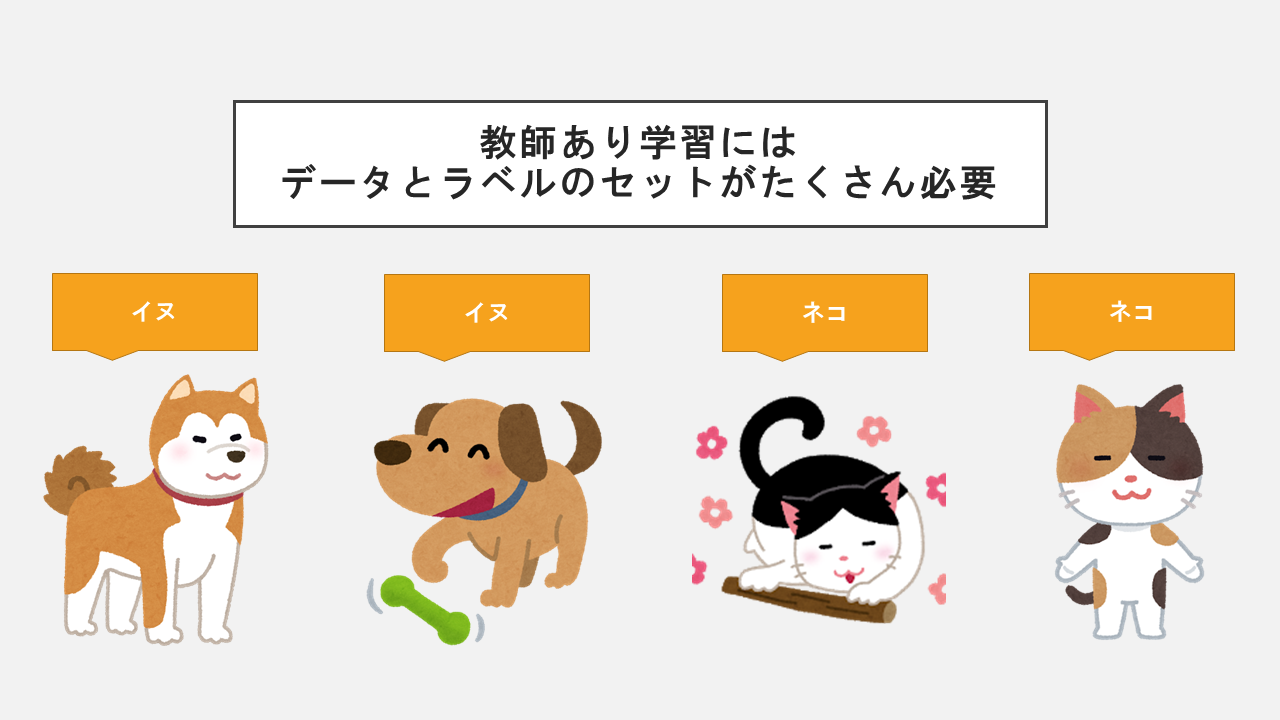 ai_study_image_recog_sys_dataset