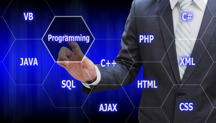 分析に用いるプログラミング言語の基礎